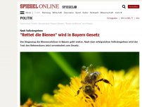 Bild zum Artikel: Nach Volksbegehren: 'Rettet die Bienen' wird in Bayern Gesetz