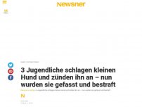 Bild zum Artikel: 3 Jugendliche schlagen kleinen Hund und zünden ihn an – nun wurden sie gefasst und bestraft