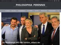 Bild zum Artikel: EU-Wahlkampf: AfD tritt Salvinis „Allianz der europäischen Völker und Nationen“ bei
