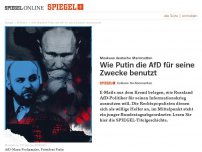 Bild zum Artikel: Wie Moskau die AfD für seine Zwecke benutzt: Putins Puppen