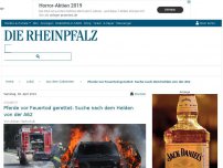 Bild zum Artikel: Pferde vor Feuertod gerettet: Suche nach dem Helden von der A62