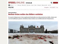 Bild zum Artikel: Silvesterknallerei: Berliner Grüne wollen das Böllern verbieten