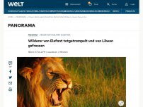 Bild zum Artikel: Wilderer von Elefant getötet und von Löwen gefressen