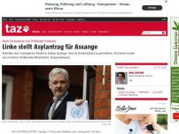 Bild zum Artikel: Nach Festnahme von Wikileaks-Gründer: Linke stellt Asylantrag für Assange