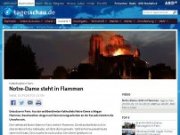 Bild zum Artikel: Paris: Feuer in Kathedrale Notre-Dame ausgebrochen