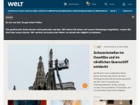 Bild zum Artikel: WELT-Sondersendung zum Feuer in der Kathedrale Notre-Dame