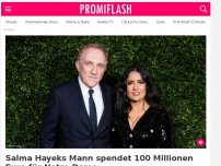 Bild zum Artikel: Salma Hayeks Mann spendet 100 Millionen Euro für Notre-Dame