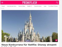 Bild zum Artikel: Neue Konkurrenz für Netflix: Disney streamt bald selbst!
