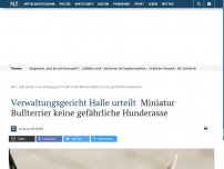 Bild zum Artikel: Verwaltungsgericht Halle urteilt: Miniatur Bullterrier keine gefährliche Hunderasse