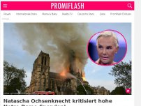 Bild zum Artikel: Natascha Ochsenknecht kritisiert hohe Notre-Dame-Spenden!