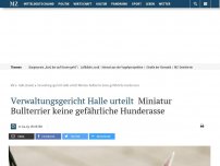 Bild zum Artikel: Verwaltungsgerichts Halle urteilt: Miniatur Bullterrier keine gefährliche Hunderasse