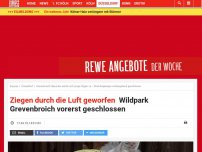 Bild zum Artikel: Ziegen durch die Luft geworfen: Wildpark Grevenbroich vorerst geschlossen