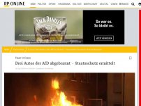 Bild zum Artikel: Feuer in Essen: Drei Autos der AfD abgebrannt - Staatsschutz ermittelt