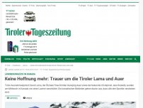 Bild zum Artikel: Lawinendrama: Bangen um Tiroler Kletter-Stars Lama und Auer