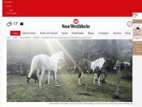 Bild zum Artikel: Herford: Oster-Happy-End: Gestohlene Pferde aus Herford auch in Polen gefunden