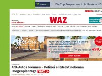 Bild zum Artikel: Feuerwehr-Einsatz: Autos mit AfD-Werbung brannten – Staatsschutz eingeschaltet