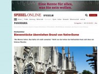 Bild zum Artikel: Kirchenimker: Bienenstöcke überstehen Brand von Notre-Dame