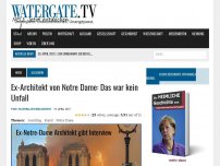 Bild zum Artikel: Ex-Architekt von Notre Dame: Das war kein Unfall