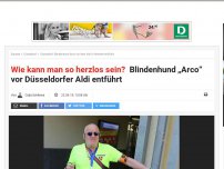 Bild zum Artikel: Beagle Arco vor Düsseldorfer Aldi entführt: Wer klaut nur einen Blindenhund?