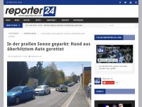 Bild zum Artikel: In der prallen Sonne geparkt: Hund aus überhitztem Auto gerettet