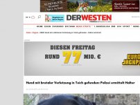 Bild zum Artikel: Schockierender Fund in NRW: Hund brutal getötet und in Teich entsorgt?