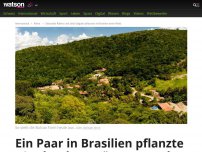 Bild zum Artikel: Dieses Paar in Brasilien kehrte den Klimawandel um – weil es 20 Jahre lang Bäume pflanzte