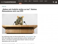 Bild zum Artikel: „Haben mit Gedicht nichts zu tun“: Ratten distanzieren sich von FPÖ