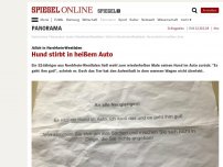 Bild zum Artikel: Jülich in Nordrhein-Westfalen: Hund stirbt in heißem Auto