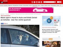 Bild zum Artikel: 'Nicht einmischen!' - Mann sperrt Hund in Auto und klebt Zettel an Scheibe - das Tier stirbt qualvoll