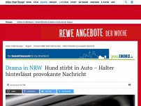 Bild zum Artikel: Drama in NRW: Hund stirbt in Auto – Halter hinterlässt provokante Nachricht