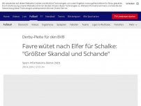 Bild zum Artikel: Favre wütet nach Elfer für Schalke: 'Größter Skandal seit Jahren'