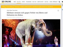 Bild zum Artikel: Streit um Tierschutz: Klöckner stemmt sich gegen Verbot von Bären und Elefanten im Zirkus