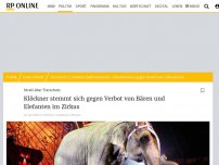 Bild zum Artikel: Streit um Tierschutz: Klöckner stemmt sich gegen Verbot von Bären und Elefanten im Zirkus