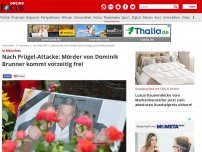 Bild zum Artikel: In München - Nach Prügel-Attacke: Mörder von Dominik Brunner kommt vorzeitig frei