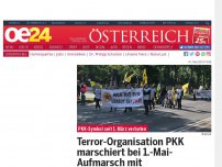 Bild zum Artikel: Terror-Organisation PKK marschiert bei 1.-Mai-Aufmarsch mit