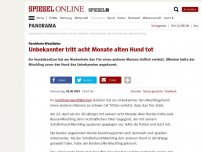 Bild zum Artikel: Nordrhein-Westfalen: Unbekannter tritt acht Monate alten Hund tot