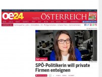 Bild zum Artikel: SPÖ-Politikerin will private Firmen enteignen