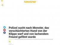 Bild zum Artikel: Polizei sucht nach Monster, das verschüchterten Hund von der Klippe warf und von lachendem Freund gefilmt wurde