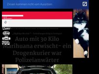 Bild zum Artikel: Fahndungserfolg in Stuttgart - Auto mit 30 Kilo Marihuana erwischt