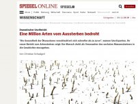 Bild zum Artikel: Dramatischer Uno-Bericht: Eine Million Arten vom Aussterben bedroht