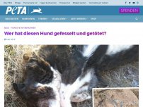 Bild zum Artikel: Wer hat diesen Hund gefesselt und getötet?