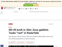 Bild zum Artikel: Mit 45 km/h in 30er-Zone geblitzt: Taube 'rast' in Radarfalle