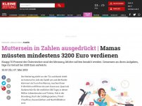 Bild zum Artikel: Mamas müssten mindestens 3200 Euro verdienen