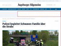 Bild zum Artikel: Polizei begleitet Schwanen-Familie über die Straße