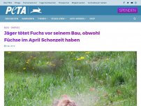 Bild zum Artikel: Fotograf hält fest, wie Jäger einen Fuchs trotz Schonzeit erschießt