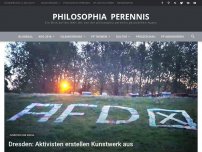 Bild zum Artikel: Dresden: Unbekannte Aktivisten erstellen Kunstwerk aus heruntergerissenen AfD-Plakaten