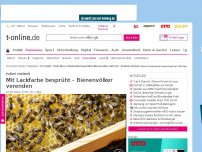 Bild zum Artikel: Kreis Kleve: Unbekannte besprühen Bienenvölker mit Lack – Insekten sterben