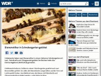 Bild zum Artikel: Bienenvölker in Schrebergarten getötet