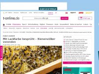 Bild zum Artikel: Mit Lackfarbe besprüht: Bienenvölker verendet