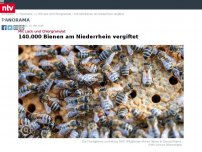 Bild zum Artikel: Mit Lack und Chlorgranulat: 140.000 Bienen am Niederrhein vergiftet